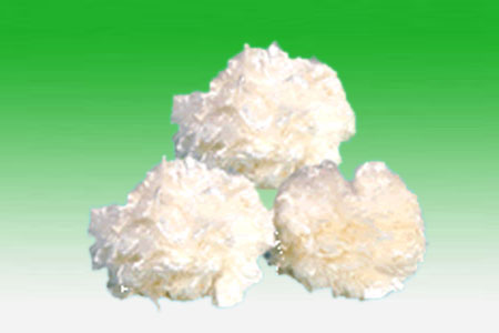 �����w�S������