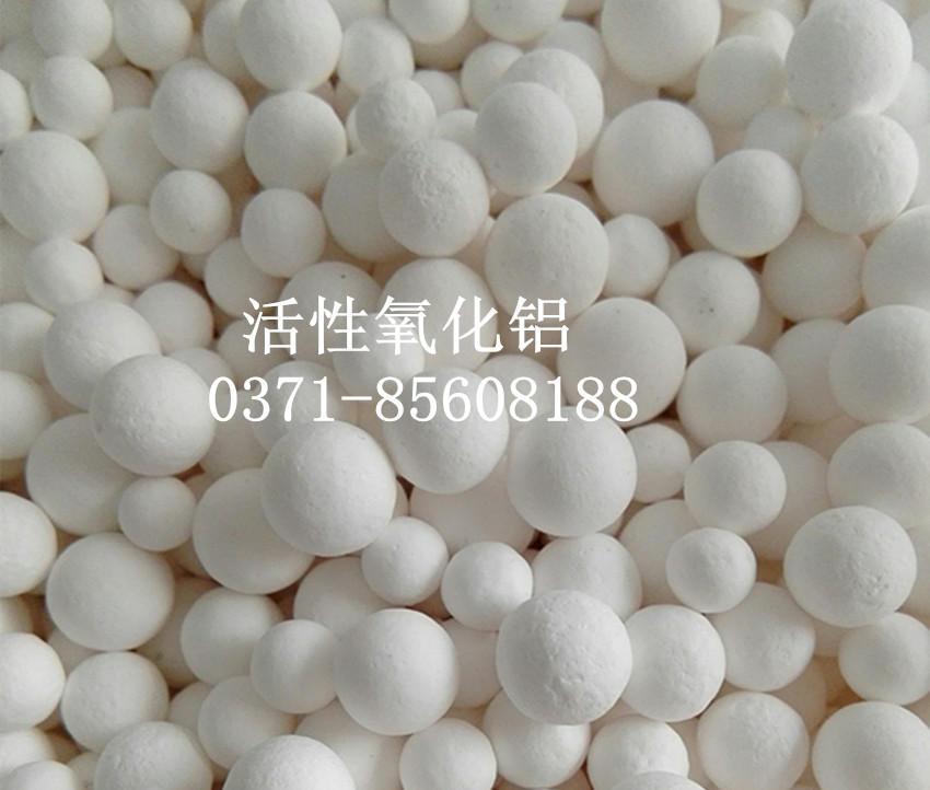 ���������X�S���J(r��n)�C�䌍����ץ�a(ch��n)Ʒ�|(zh��)��